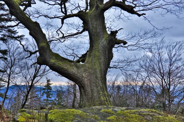 Osterwanderung am Battert