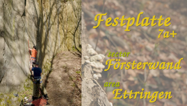 Festplatte