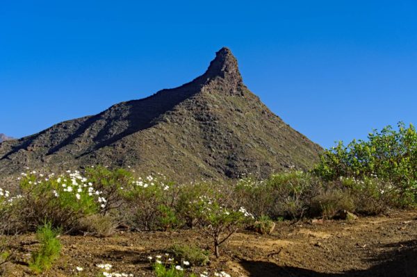 Teneriffa: Roque Imoque