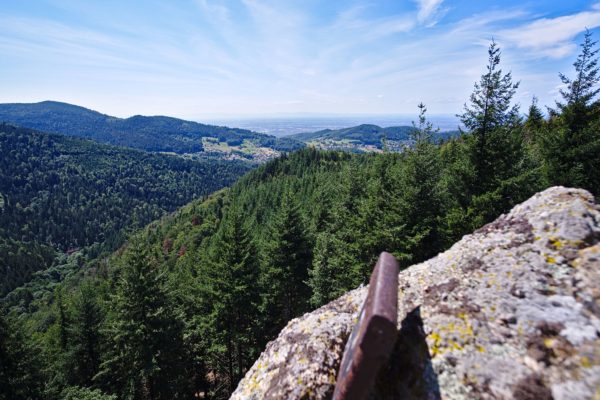 Klettern im Bühlertal