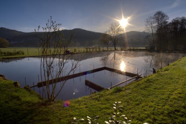 Rundwanderung: Neschen, Roßbach, Waldbreitbach, Kurtscheid, Breitscheid