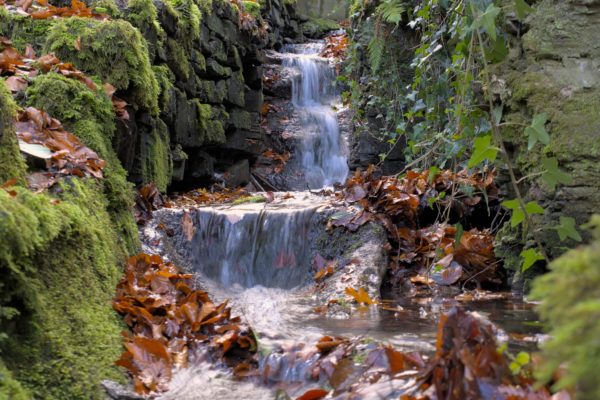 Kleiner Grenzgänger Kasbach