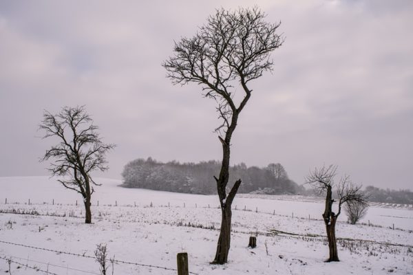 Triste Winterlandschaft im Westerwald