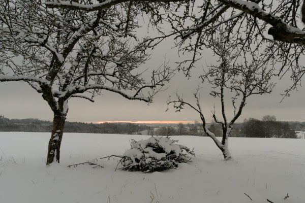 Winterimpressionen vor Sonnenaufgang