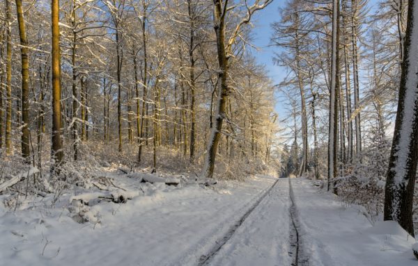 Winterlandschaft im Westerwald