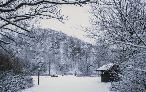 Roßbacher Häubchen im Schnee