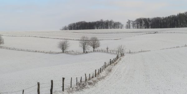 Winterwanderung im Westerwald