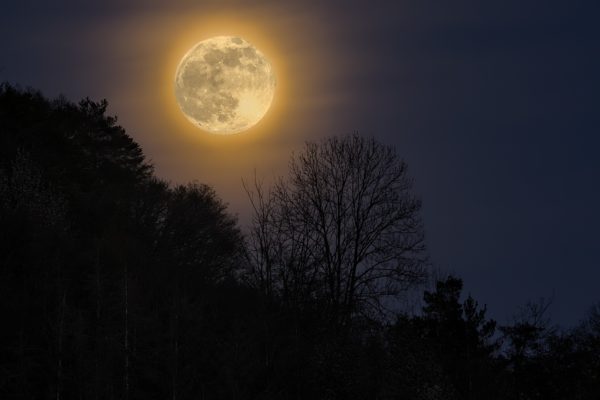 Supervollmond über Roßbach