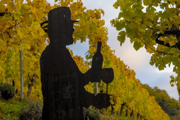 Weinberge über Hatzenport