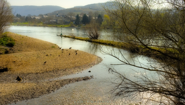 Lieserpfad – Tag 3: Von Altrich zur Mündung in Lieser