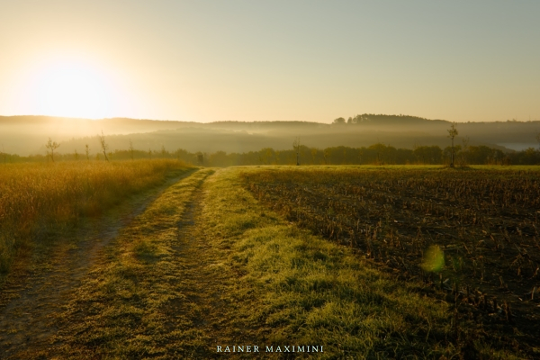 Morgennebel auf dem R5 Basaltbogen