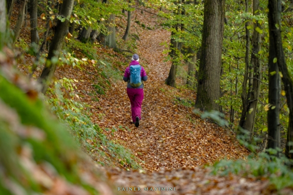 Herbstwanderung auf dem Kapellenweg R4