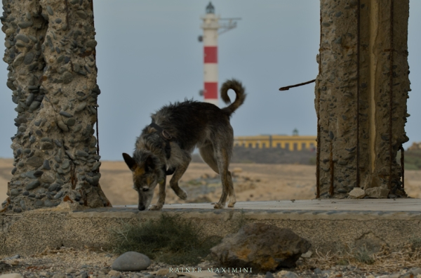 Teneriffa: Abades – Leuchtturm von El Poris