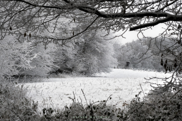 Winterwanderung auf dem Wiedweg