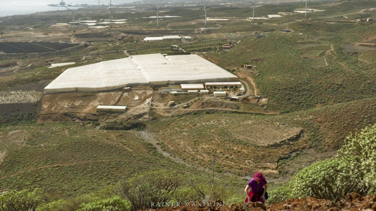 Teneriffa Montaña La Centinela Foto Maximini