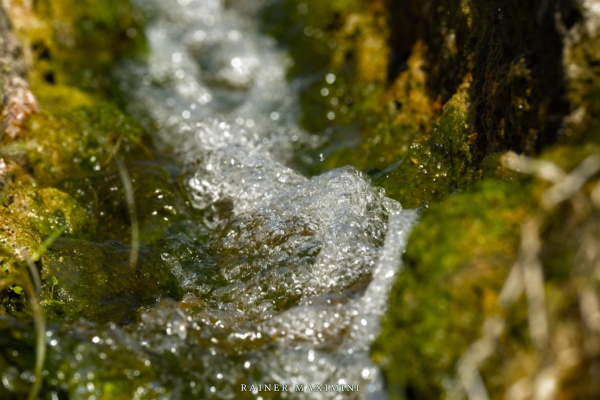 Teneriffa – Abstieg vom Wasserfall Chindia