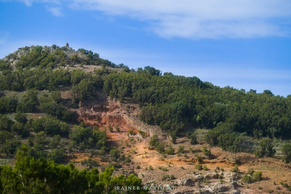 Teneriffa: Risco Steig – Farbenfrohe Felslandschaft